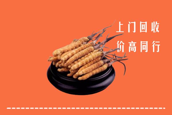 高价求购：岳普湖县回收散虫草