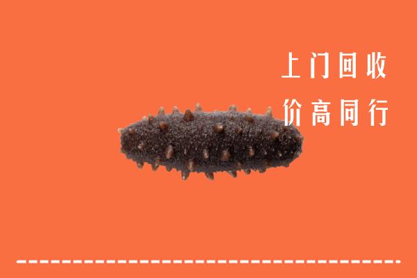 岳普湖县回收海参