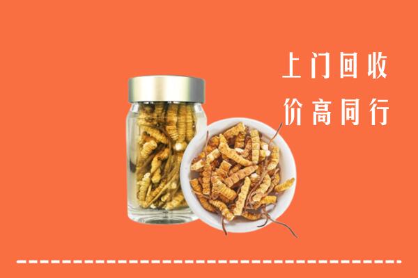 岳普湖县回收冬虫夏草